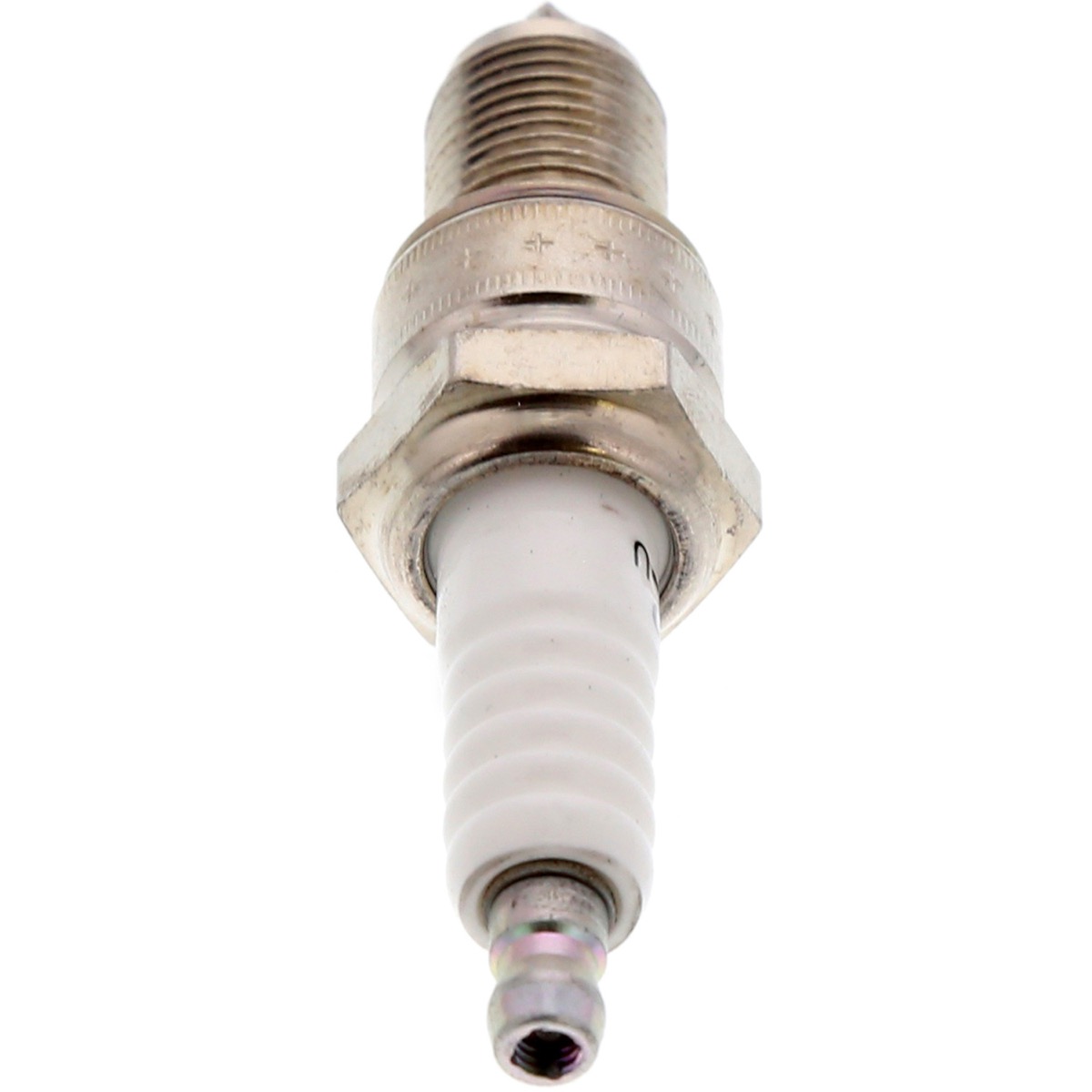 3031 - product image