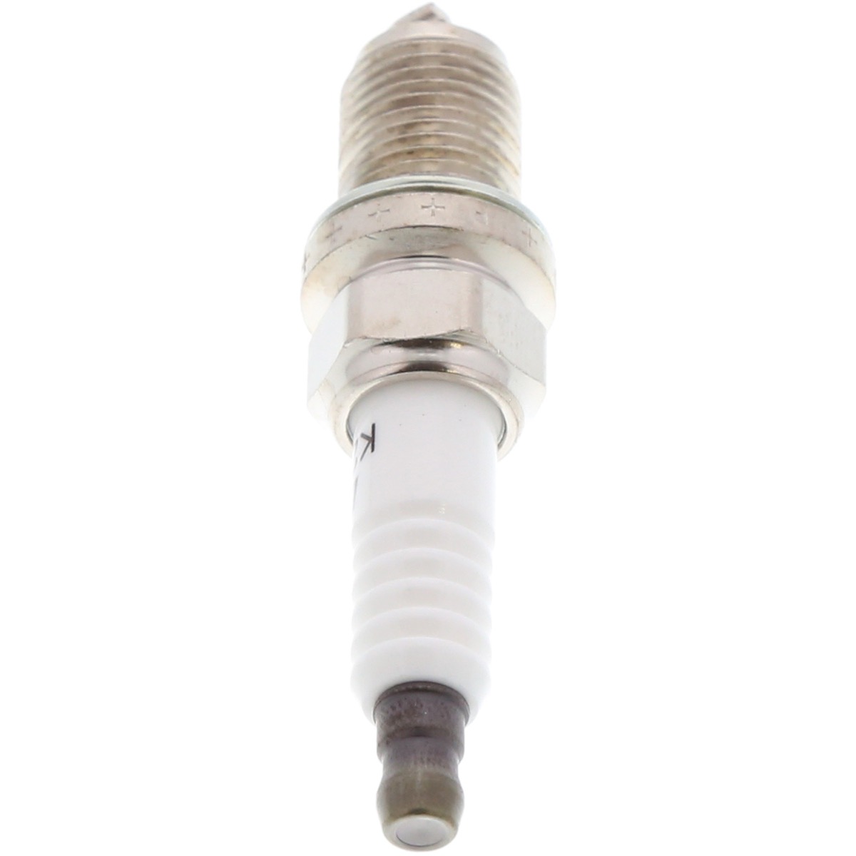 3121 - product image