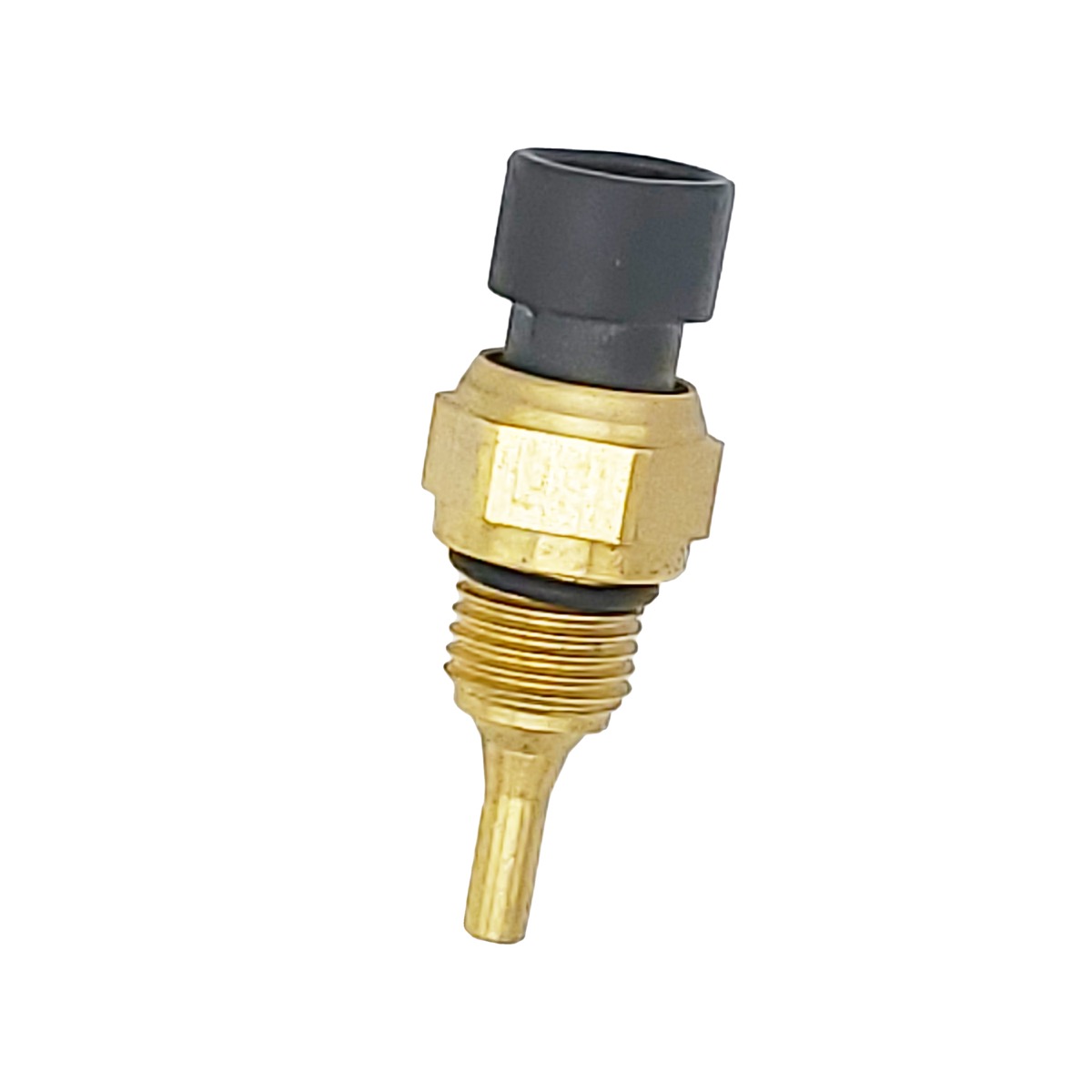 2CTS0193 - product image